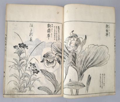 [Japon] TACHIBANA, Yasukuni (1717-1792)....