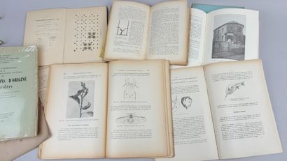 [Viticulture] [Vigne] Réunion de 9 volumes...