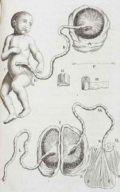 [Médecine] [Obstétrique] MESNARD (Jacques)....