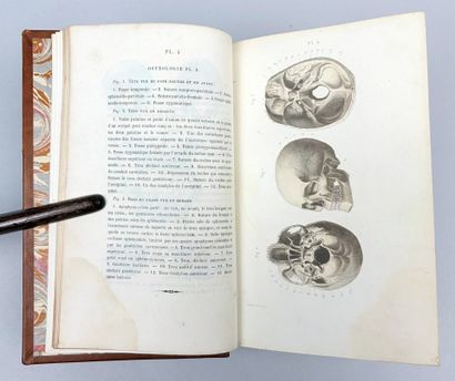 MASSE (J. N. ). Petit Atlas complet d'Anatomie...