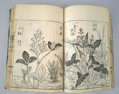 [Japon] TACHIBANA, Yasukuni (1717-1792)....