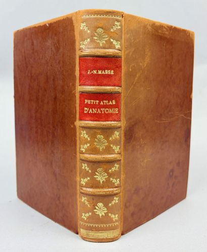 MASSE (J. N. ). Petit Atlas complet d'Anatomie...