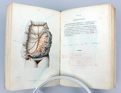 MASSE (J. N. ). Petit Atlas complet d'Anatomie...