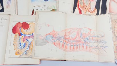 [Médecine] [Manuscrit] MARY (Alexandre et...