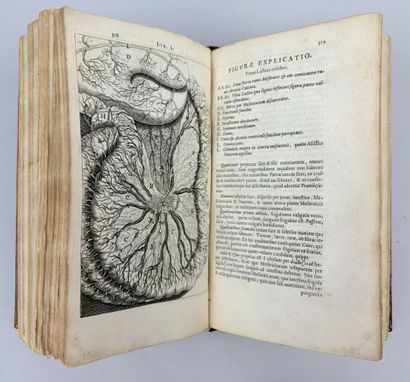 [Médecine] BARTHOLIN (Gaspar). Institutiones...