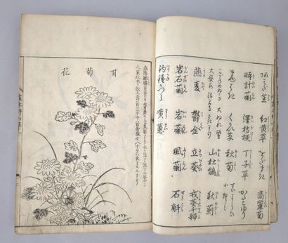 [Japon] TACHIBANA, Yasukuni (1717-1792)....