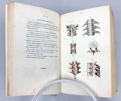 MASSE (J. N. ). Petit Atlas complet d'Anatomie...