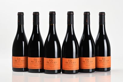 6B MINERVOIS CAZELLES L'O DE LA VIE
Domaine...