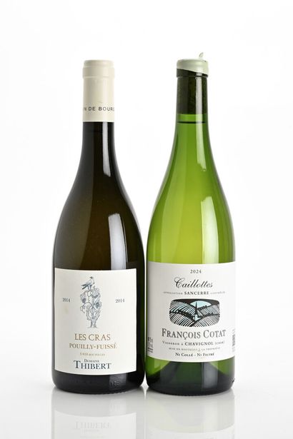 1B SANCERRE CAILLOTTES (capsule avec cire...