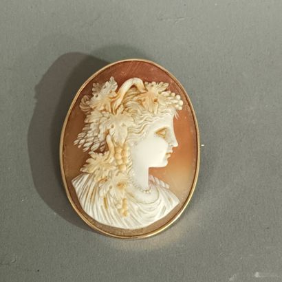 Une broche camée coquille à fond rose représentant...