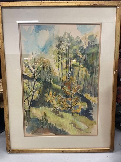 H.CHANDY (XXème)
Vue de forêt 
Aquarelle...