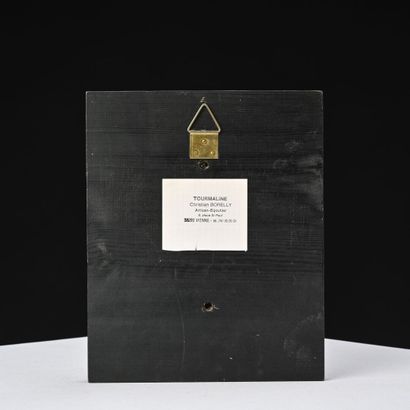 Christian BORELLY
Tourmaline

Plaque en laiton...