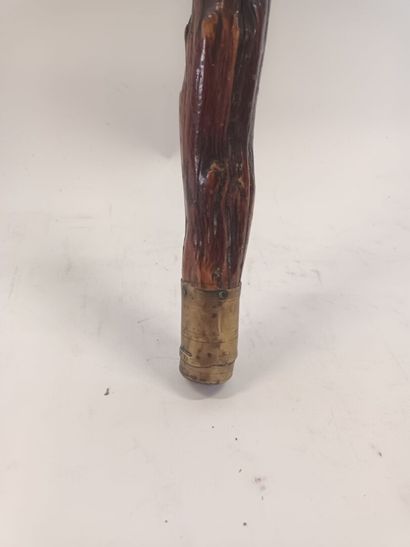 Canne de muscadin en bois noueux et pommeau...