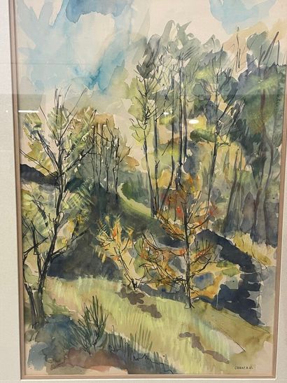 H.CHANDY (XXème)
Vue de forêt 
Aquarelle...