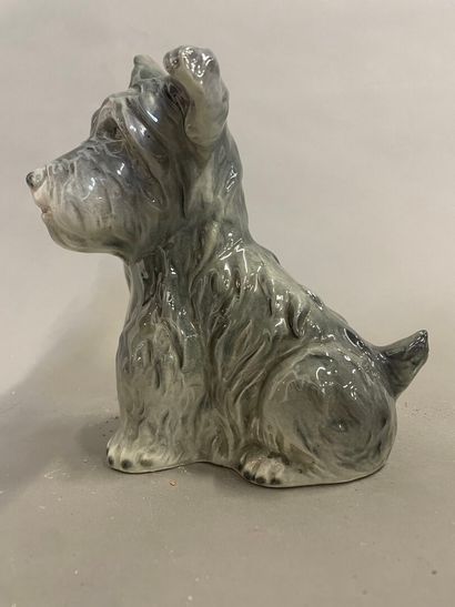 Sujet en terre émaillé 
Scottish Terrier
H...