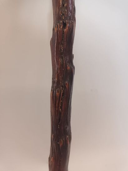 Canne de muscadin en bois noueux et pommeau...