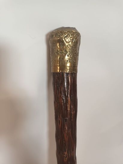 Canne de muscadin en bois noueux et pommeau...