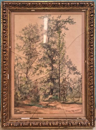 Paysage avec grands arbres,
Aquarelle sur...
