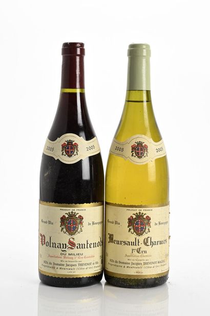 1B MEURSAULT-CHARMES (1er Cru)
Domaine Thevenot-Machal
2005
1B...
