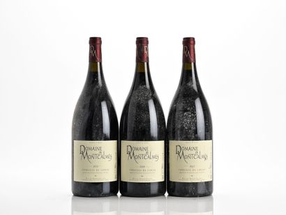 3Mag COTEAUX DU LANGUEDOC Rouge (1 e.a.)
Domaine...