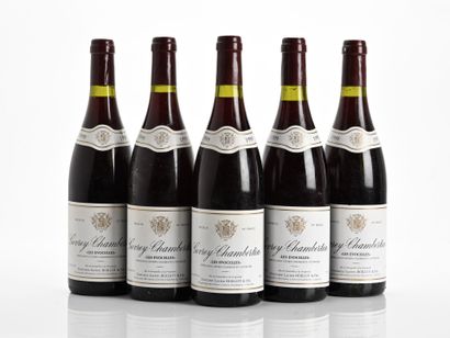 5B GEVREY-CHAMBERTIN LES EVOCELLES (e.l.s.)
Domaine...