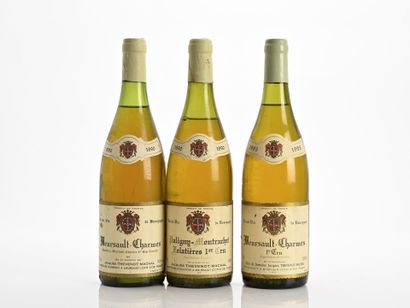 1B MEURSAULT-CHARMES (1er Cru) (2,5 cm; e.a.)
Domaine...