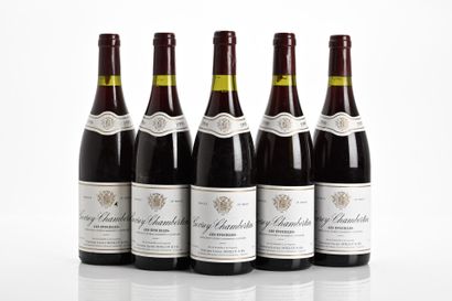 5B GEVREY-CHAMBERTIN LES EVOCELLES (e.l.s....