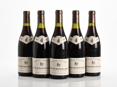 5B CÔTE DE NUITS-VILLAGES (e.l.s; 1 c.l.a.)
Domaine...