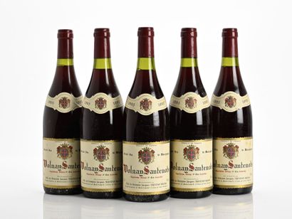 5B VOLNAY-SANTENOTS (1er Cru) (e.l.s.)
Domaine...