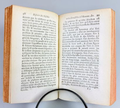 [Entomologie] BUC'HOZ. Histoire des insectes...
