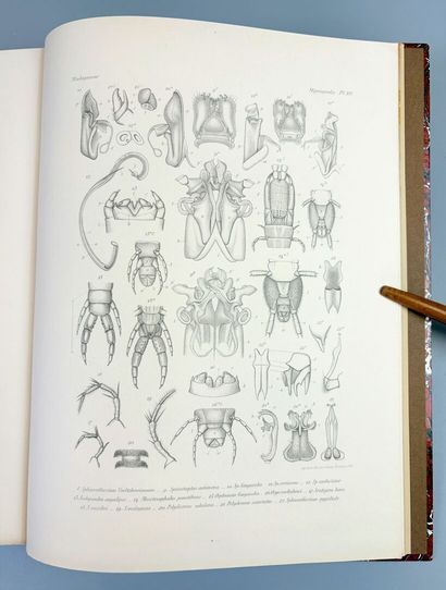 [Madagascar] GRANDIDIER (Alfred). Histoire...