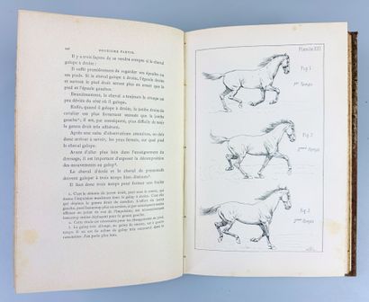 [Équitation] FILLIS (James). Principes de...