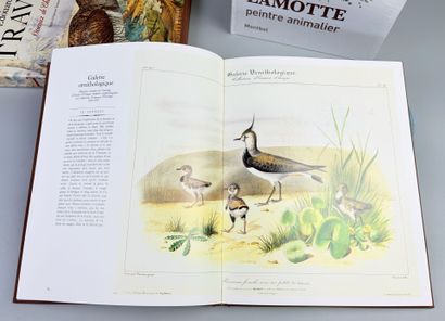 TRAVIES (Édouard). Oiseaux de chasse. Texte...