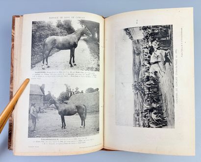 FROUIN (E.). Le Cheval Breton. Saint-Brieuc,...