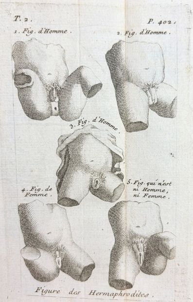 |Sexologie] VENETTE (Nicolas). La Génération...