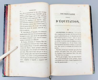 BAUCHER (François). Dictionnaire raisonné...