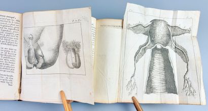 |Sexologie] VENETTE (Nicolas). La Génération...