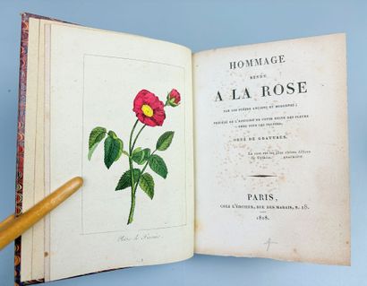 [Botanique] Hommage rendu à la rose, par...