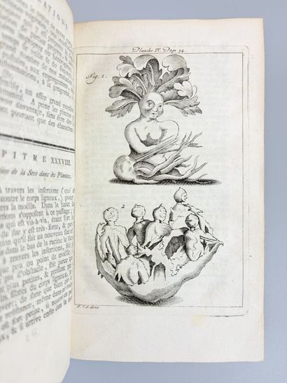 [Philosophie] [Science] ROBINET (Jean-Baptiste-René)....