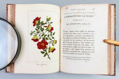 [Botanique] Hommage rendu à la rose, par...