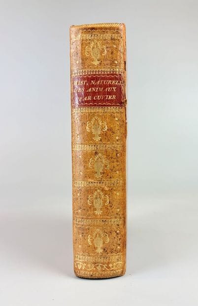 CUVIER (Georges). Tableau élémentaire de...