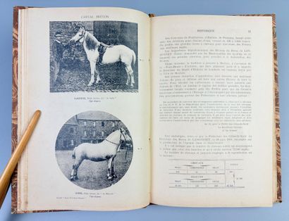 FROUIN (E.). Le Cheval Breton. Saint-Brieuc,...
