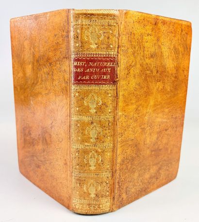 CUVIER (Georges). Tableau élémentaire de...
