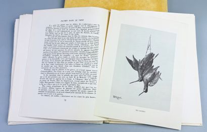 VIALAR (Paul). Plumes dans le Vent. Onze...