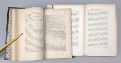 [Psychiatrie] TRÉLAT (Ulysse). La folie lucide...
