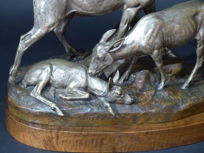 Jules-Edmond MASSON (1871- 1932) Cerfs et...