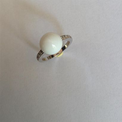 Bague en or blanc (750) 18K anneau serti...