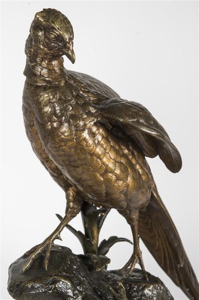 Alfred DUBUCAND (1828- 1894)
Faisan doré...