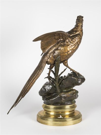 Alfred DUBUCAND (1828- 1894)
Faisan doré...