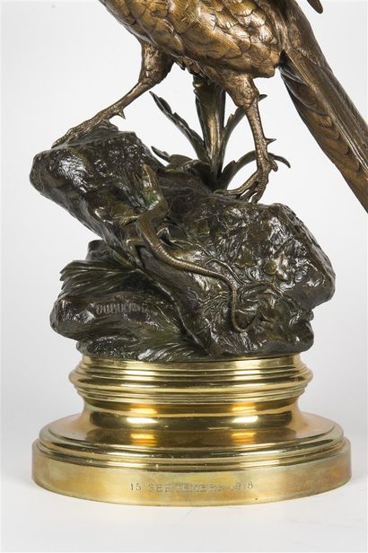 Alfred DUBUCAND (1828- 1894)
Faisan doré...